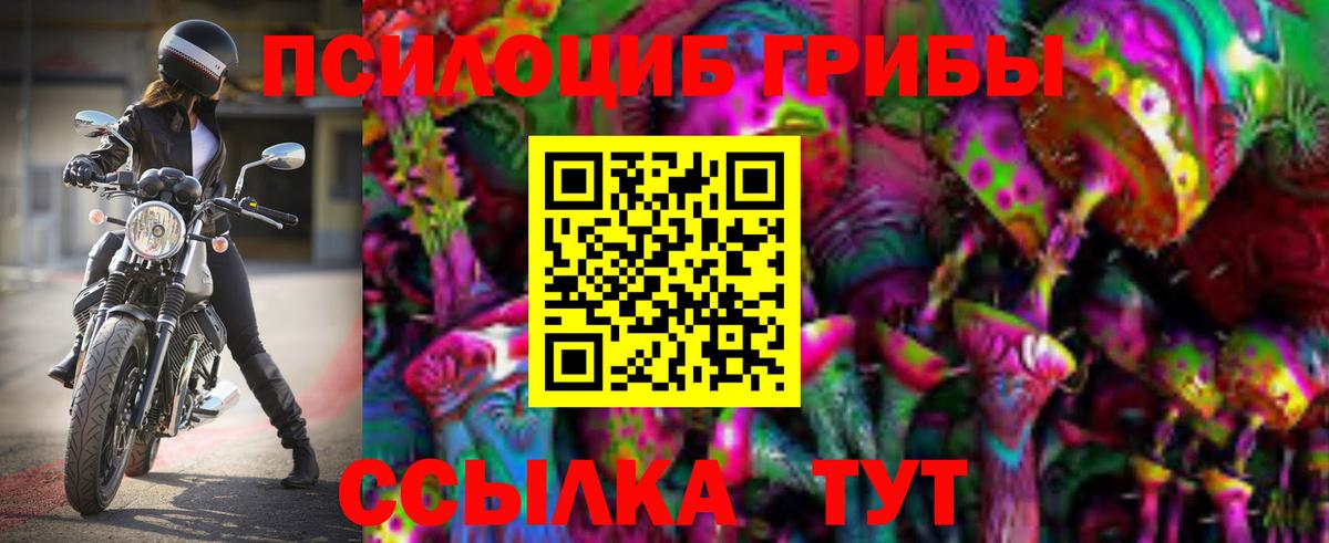 Псилоцибиновые грибы мицелий Заволжье